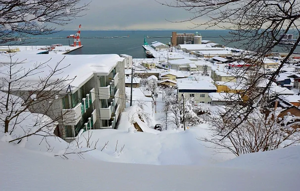 The view down from a hilltop shrine in Otaru over a snow-buried slope and roofs to the harbour and the sea.